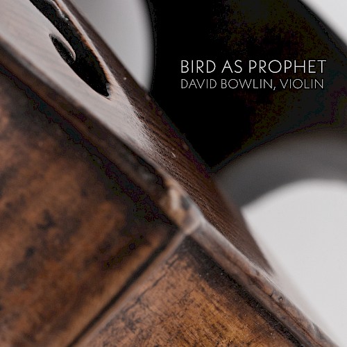 Bird as Propher - David Bowlin, violin