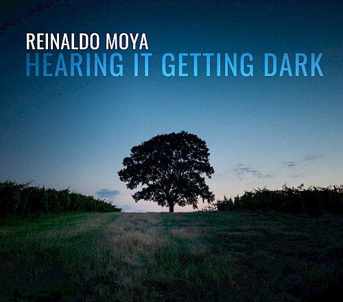 Reinaldo Moya: Hearing it Getting Dark