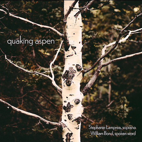 Stephanie Lamprea: Quaking Aspen